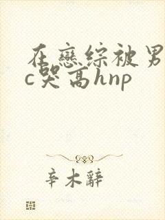 在恋综被男主们c哭高hnp