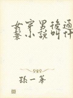 女穿男后通房丫鬟小说叫什么名字来