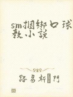 sm捆绑口球调教小说