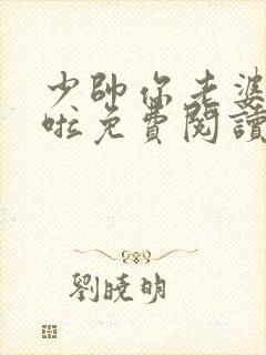 少帅你老婆又跑啦免费阅读