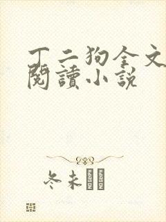 丁二狗全文免费阅读小说