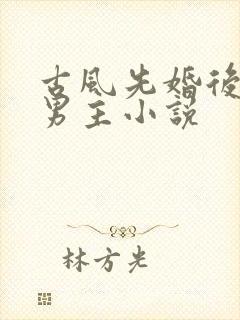 古风先婚后爱双男主小说封面