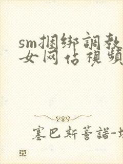 sm捆绑调教美女网站视频封面