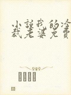 小说我的冷艳总裁老婆免费阅读