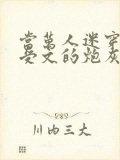 当万人迷穿成总受文的炮灰攻四封面