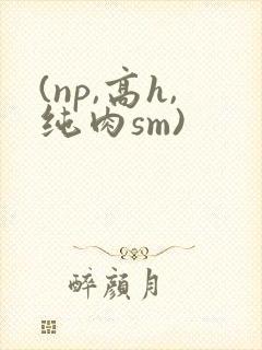 (np,高h,纯肉sm)