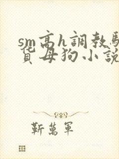 sm高h调教骚货母狗小说