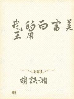 我的白富美老婆主角