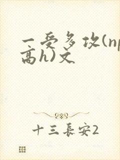 一受多攻(np高h)文