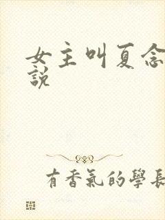 女主叫夏念的小说