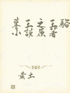 墓王之王骆时秋小说原著