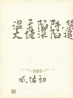 温柔陷阱,禁欲大佬深陷追妻小说