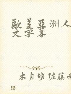 欧美亚洲人妻中文字幕