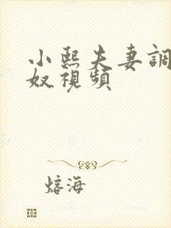 小熙夫妻调教男奴视频