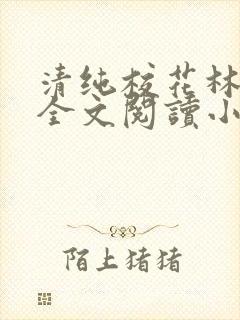 清纯校花林思琪全文阅读小说