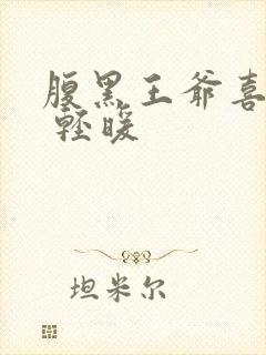 腹黑王爷喜当爹 轻暖封面