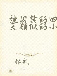 被囚禁的四十九天类似的小说