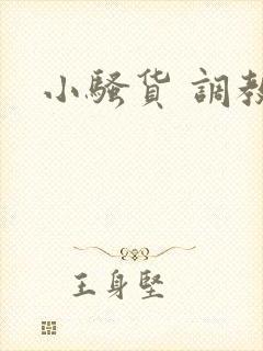小骚货 调教