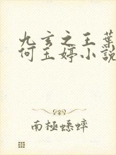 九玄之王叶浮生何玉婷小说全集免费阅读封面