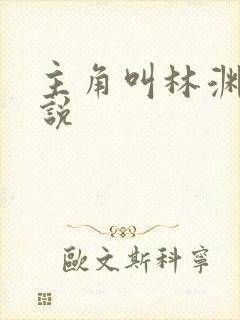 主角叫林渊的小说