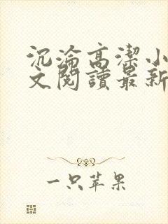 沉沦高洁小说全文阅读最新章节更新