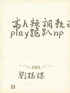 高h辣调教道具play跪趴np