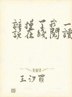 谁摸了我一下小说在线阅读