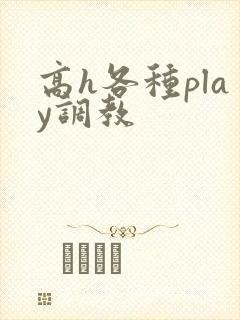 高h各种play调教