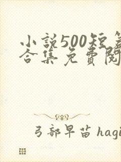 小说500短篇合集免费阅读