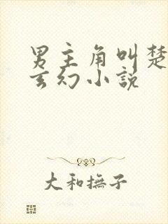 男主角叫楚枫的玄幻小说