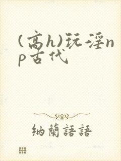 (高h)玩淫np古代封面