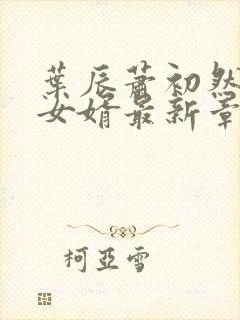 叶辰萧初然上门女婿最新章节