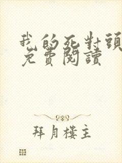 我的死对头小说免费阅读