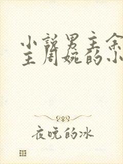 小说男主余年女主周婉的小说封面