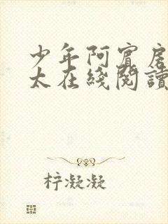 少年阿宾房东太太在线阅读