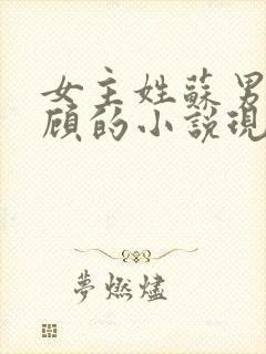 女主姓苏男主姓顾的小说现代言情