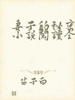 妻子的秘密吴双小说阅读全文