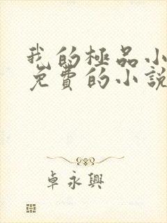 我的极品小姨全免费的小说