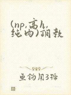 (np,高h,纯肉)调教