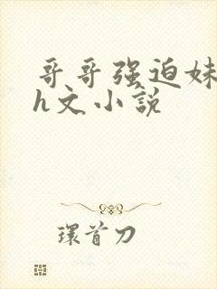 哥哥强迫妹妹的h文小说封面