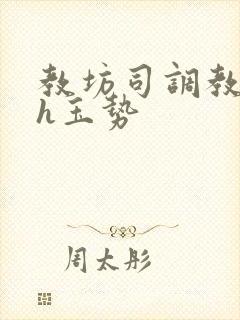 教坊司调教男妃h玉势