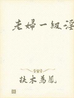 老妇一级淫片