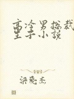 高冷男总裁怀崽生子小说