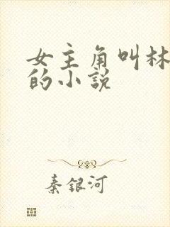 女主角叫林慕雪的小说