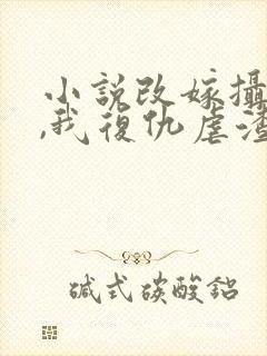 小说改嫁摄政王,我复仇虐渣妹在线阅读封面