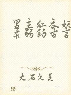 男主红衣妖孽装柔弱的古言