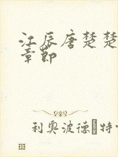 江辰唐楚楚最快章节