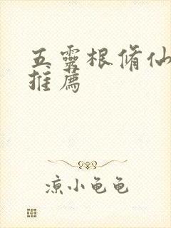 五灵根修仙小说推荐封面