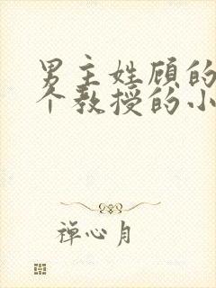 男主姓顾的是一个教授的小说