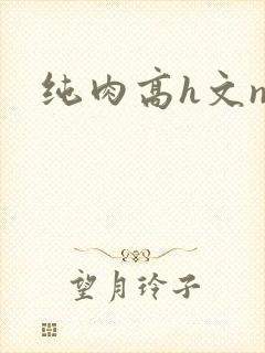 纯肉高h文np